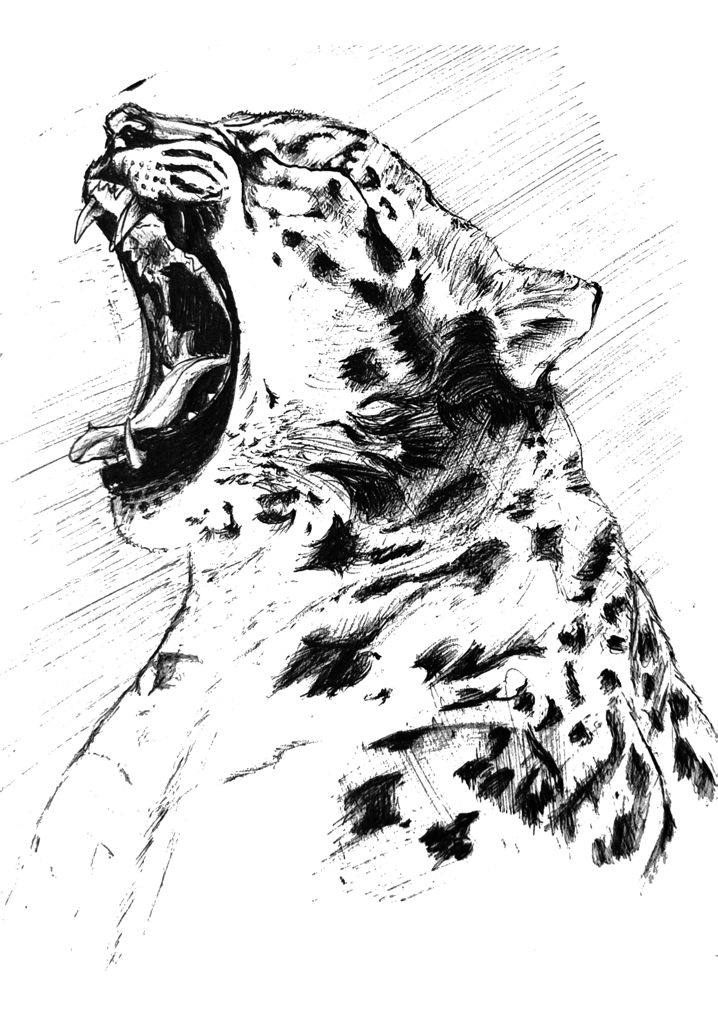 Sketch 2