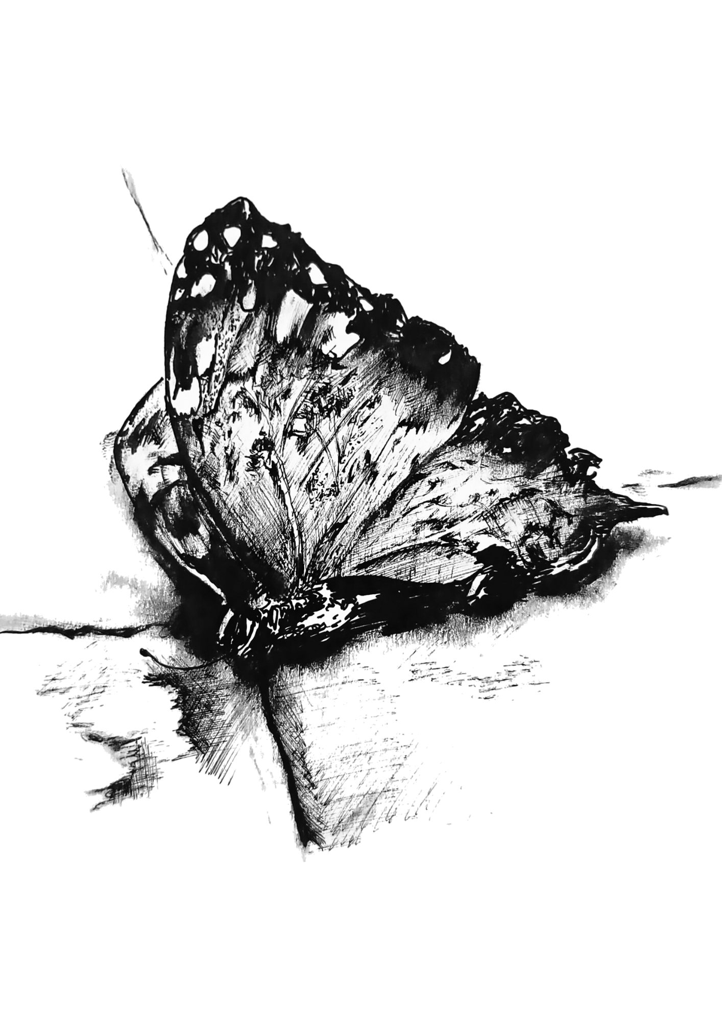 Sketch 4