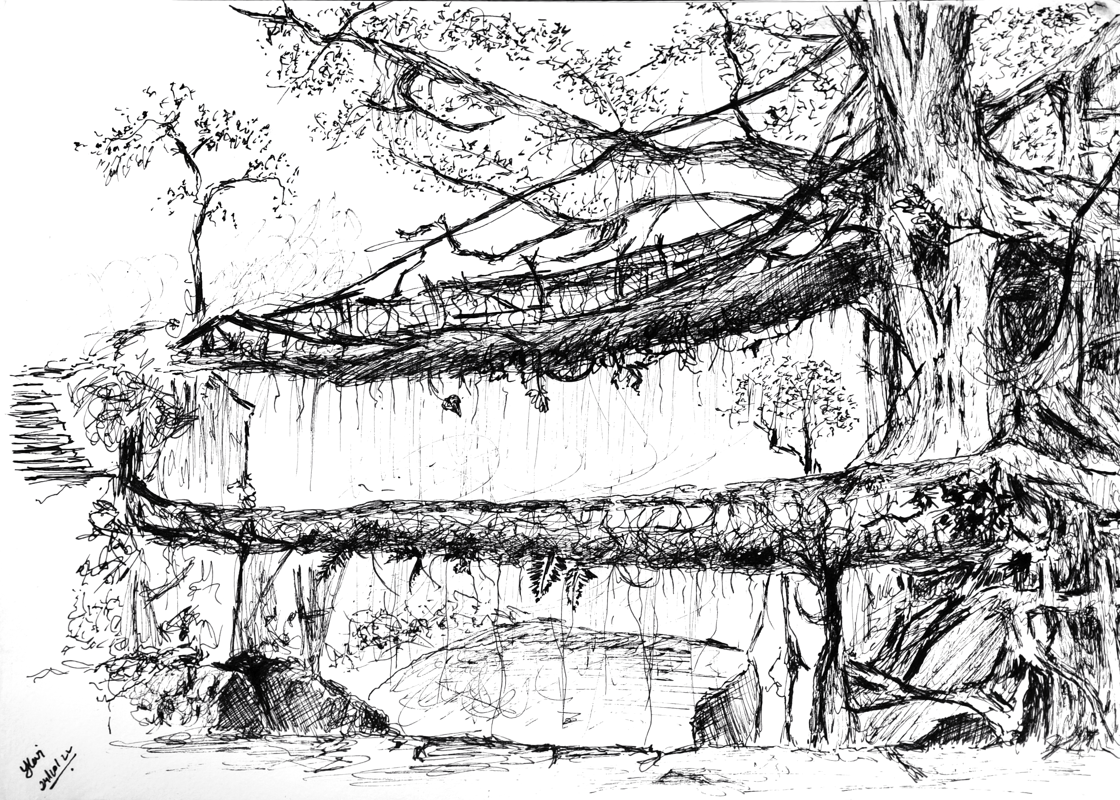 Sketch 5